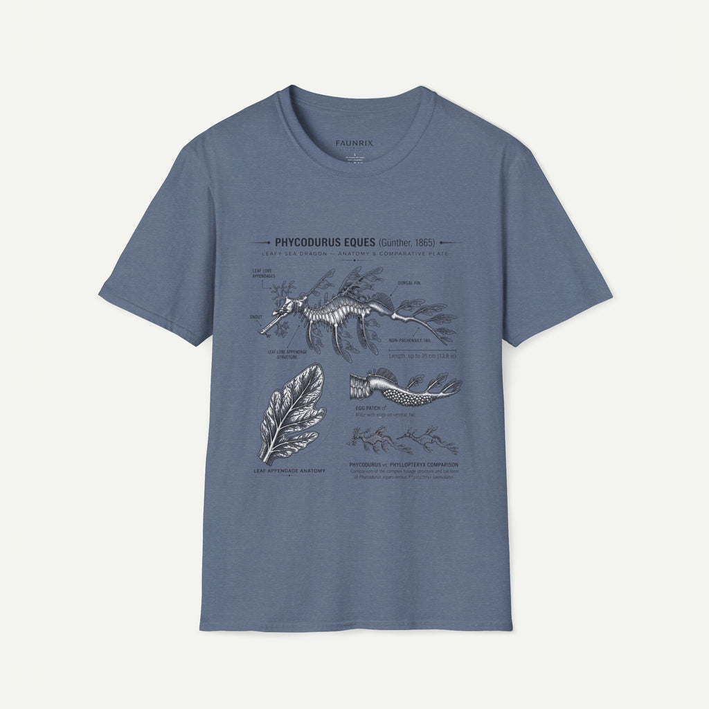 Sea Dragon Anatomy T-Shirt — Phycodurus Eques Botanical Illustration Tee