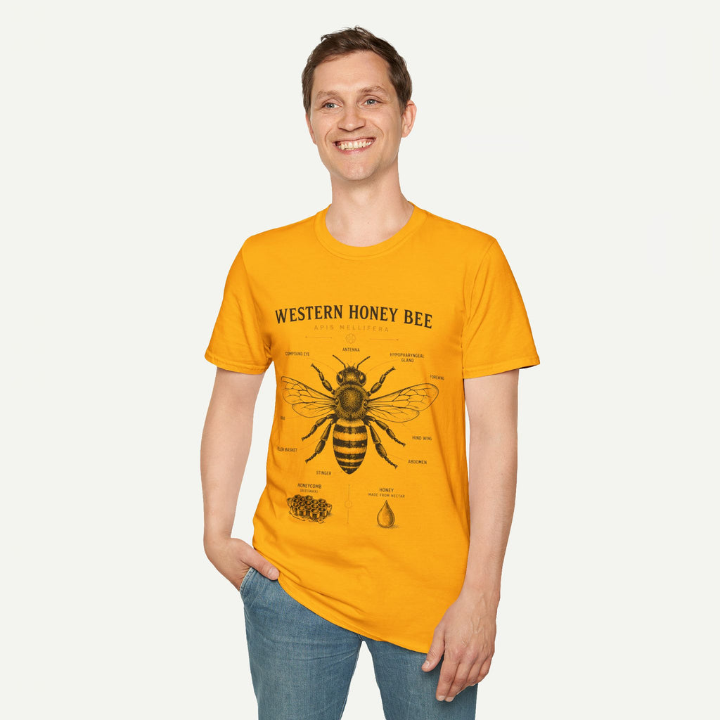Western Honey Bee Illustration T-Shirt — Apis Mellifera Vintage Bee Anatomy Tee
