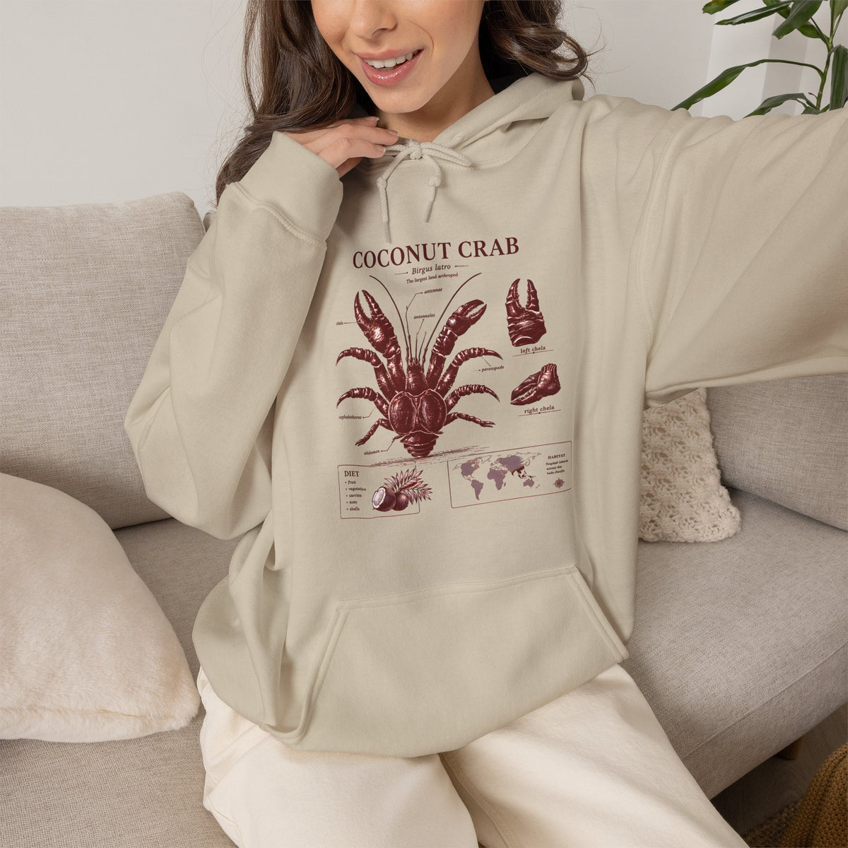 Coconut Crab Anatomy Hoodie — Vintage Botanical & Marine Study Print