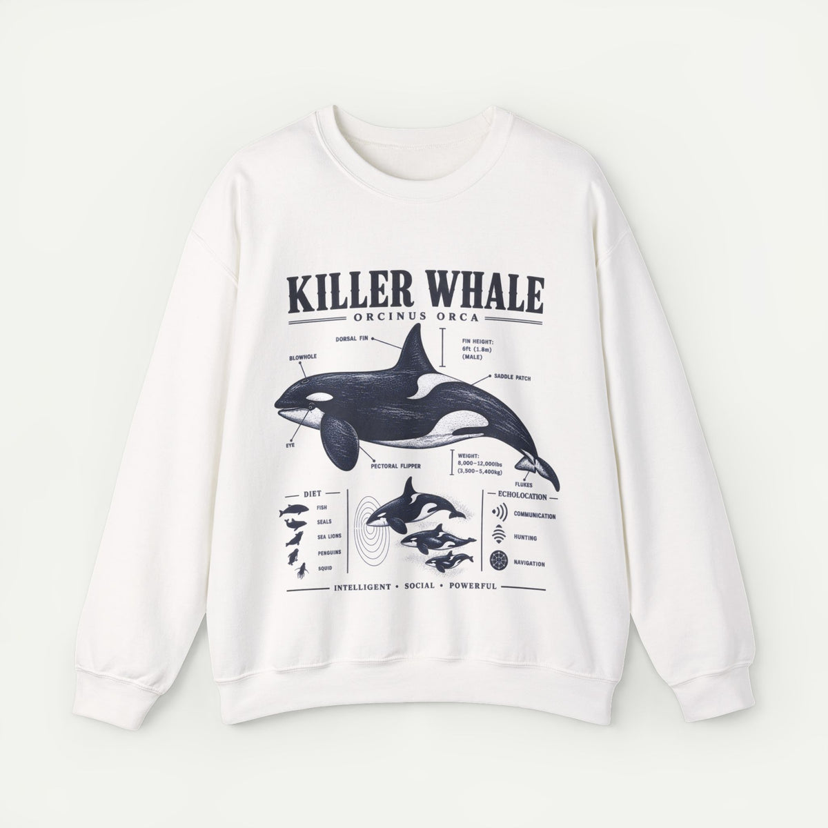 Killer Whale Anatomy Sweatshirt Main image