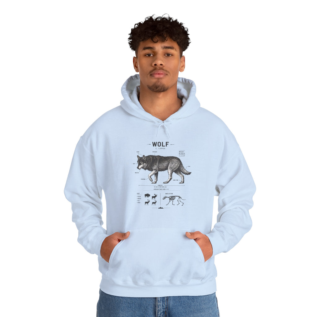 Wolf Anatomy Hoodie – Vintage Wildlife Diagram Sweatshirt