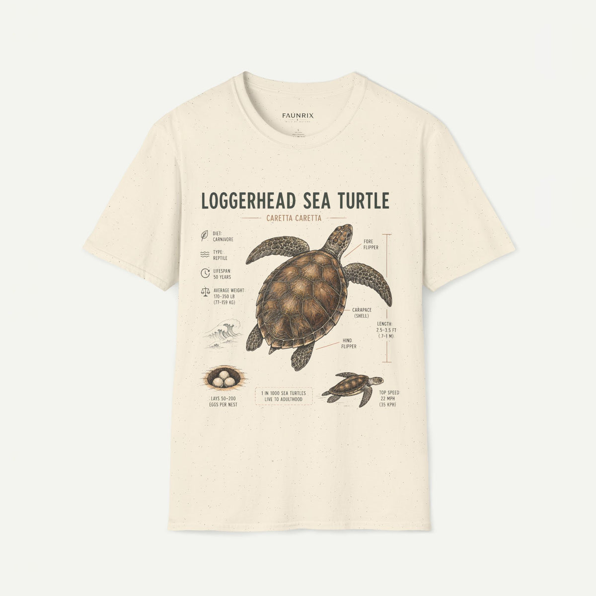 Sea Turtle Anatomy  T-Shirt — "Loggerhead Sea Turtle" Vintage Nature Graphic Tee Main image