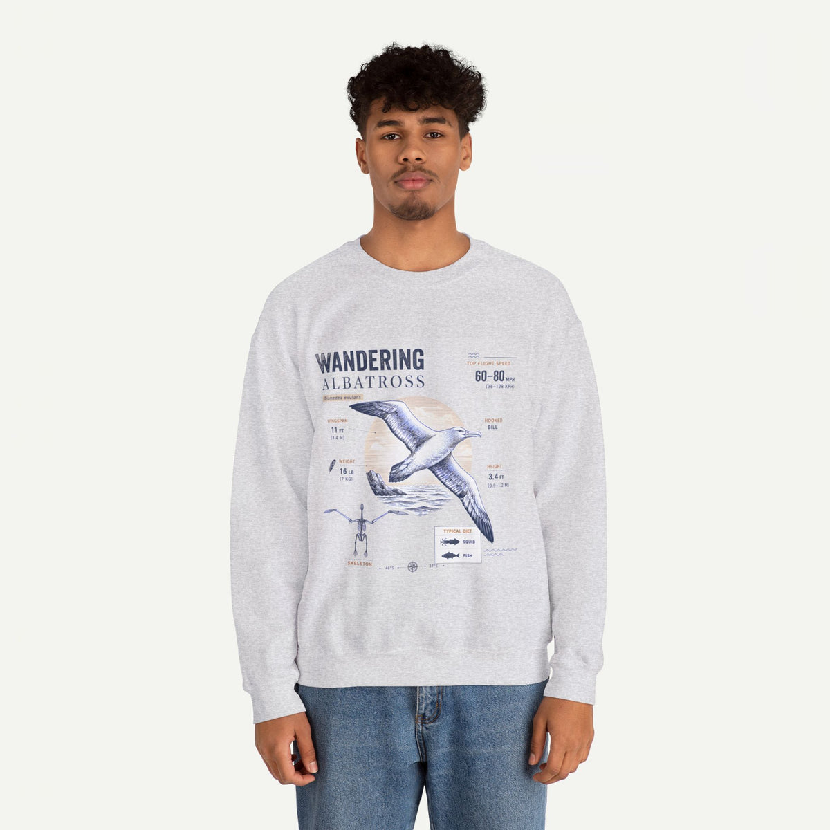 Wandering Albatross Anatomy Sweatshirt — Vintage Seabird Illustration