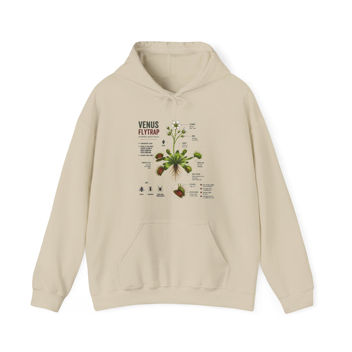 Venus Flytrap Botanical Hoodie – Illustrated Carnivorous Plant Guide
