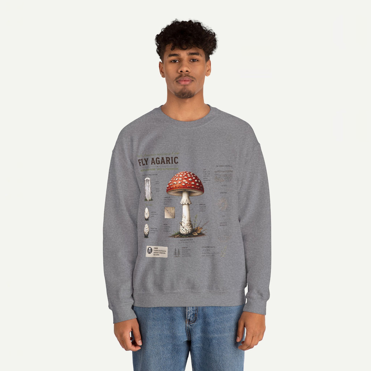 Fly Agaric Mushroom Anatomy Sweatshirt — Botanical Mycology Illustration Crewneck