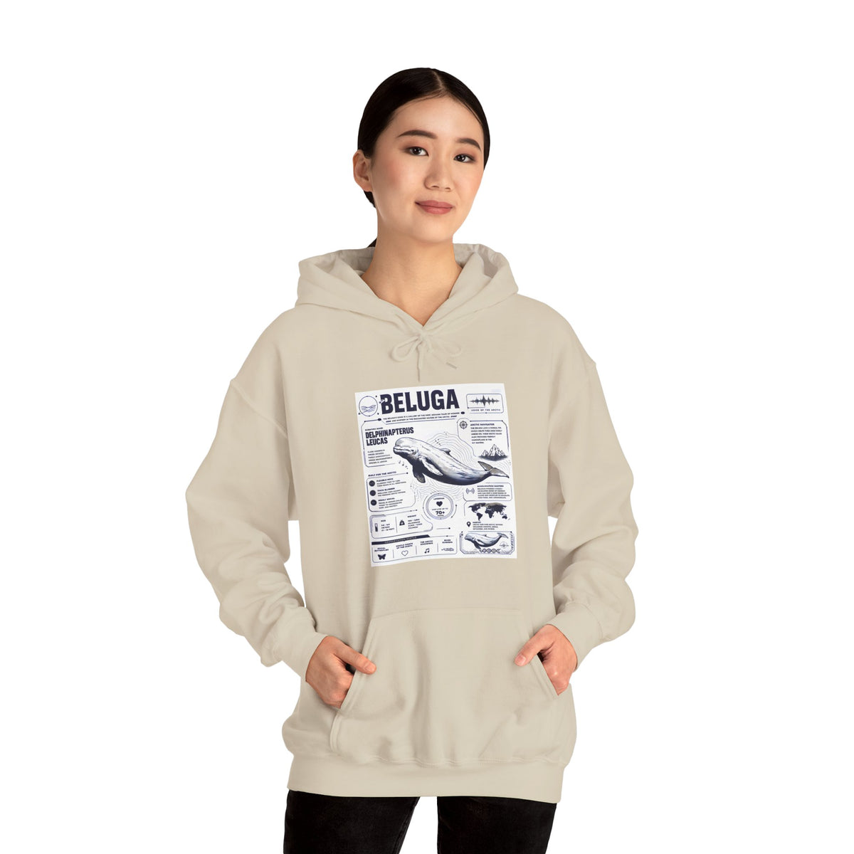 Beluga Whale Graphic Hoodie - Marine Life Diagram Sweatshirt
