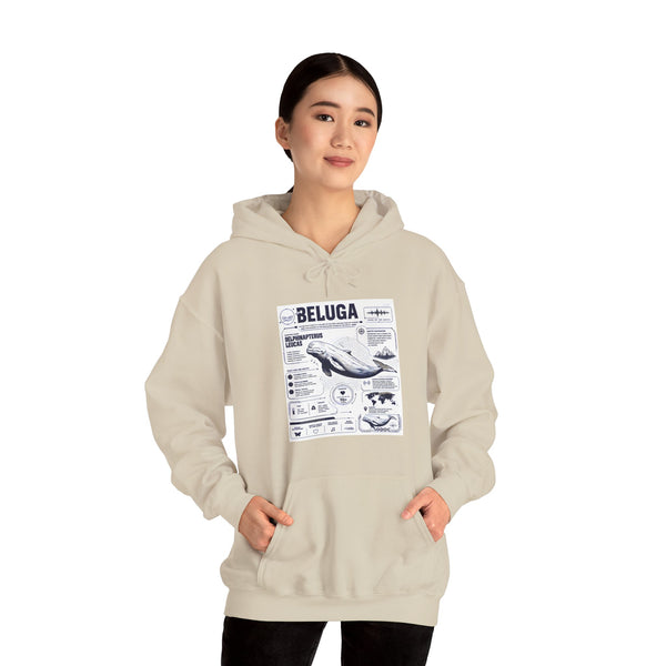 Beluga Whale Graphic Hoodie - Marine Life Diagram Sweatshirt
