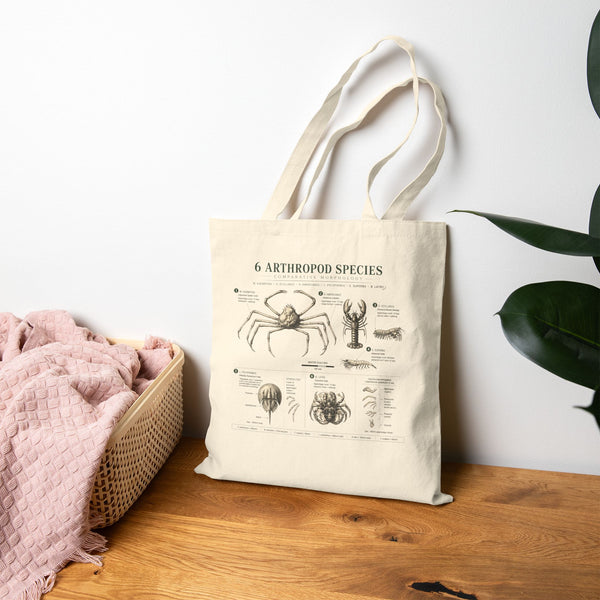 Arthropod Species Illustrated Canvas Tote Bag — Vintage Spider & Crab Biology Print