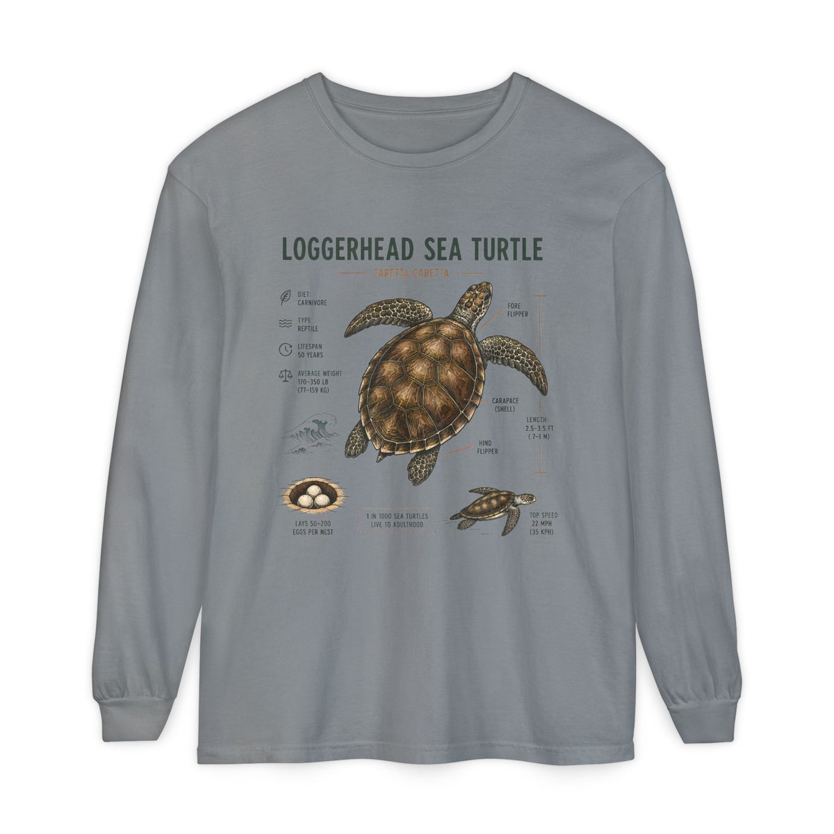Loggerhead Sea Turtle Anatomy Long Sleeve Tee Main image