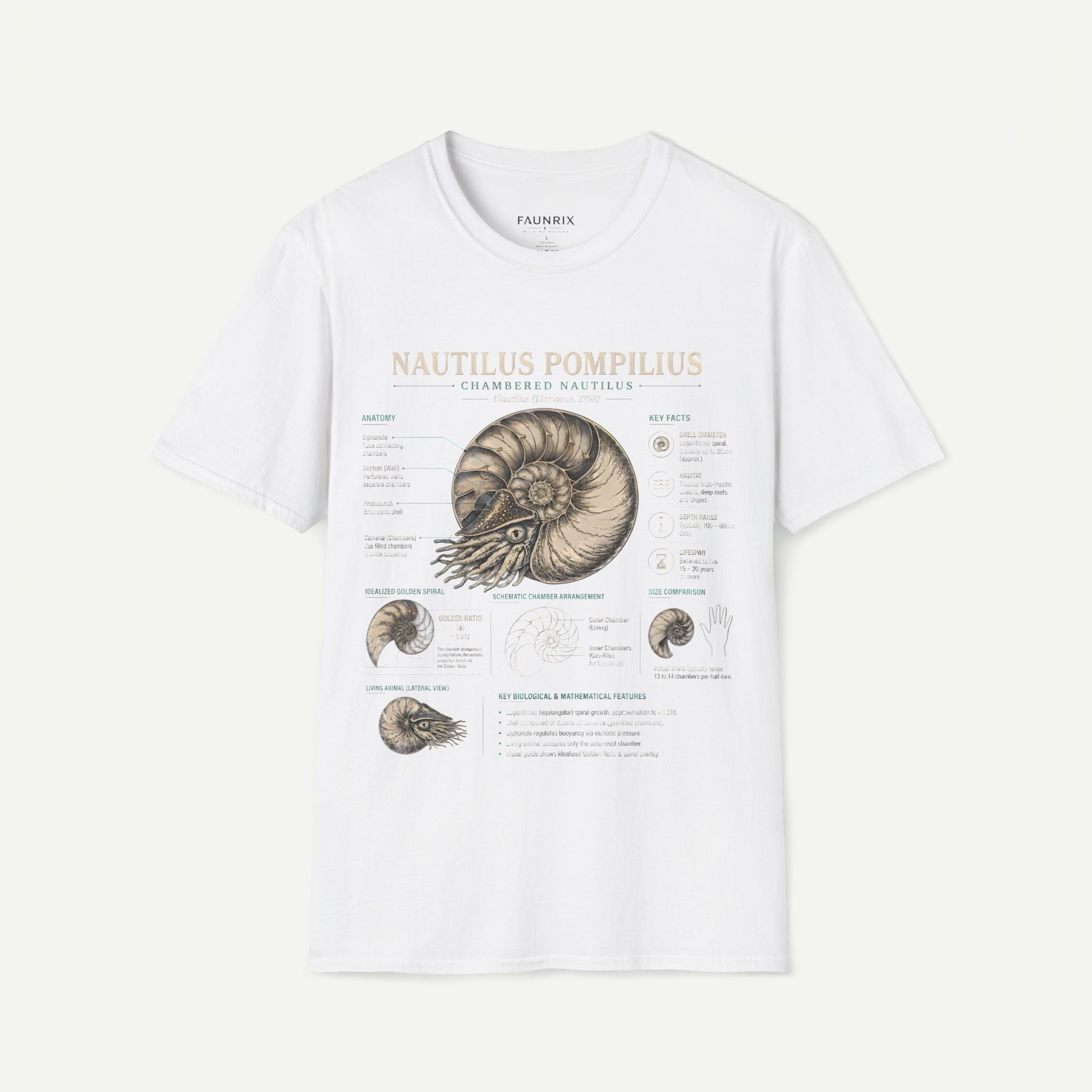 Nautilus Pompilus Shell Anatomy T-Shirt — Vintage Scientific Illustration Tee Secondary image