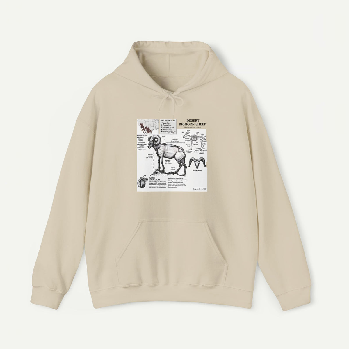 Dog Anatomy Hoodie – Vintage Canine Diagram Sweatshirt
