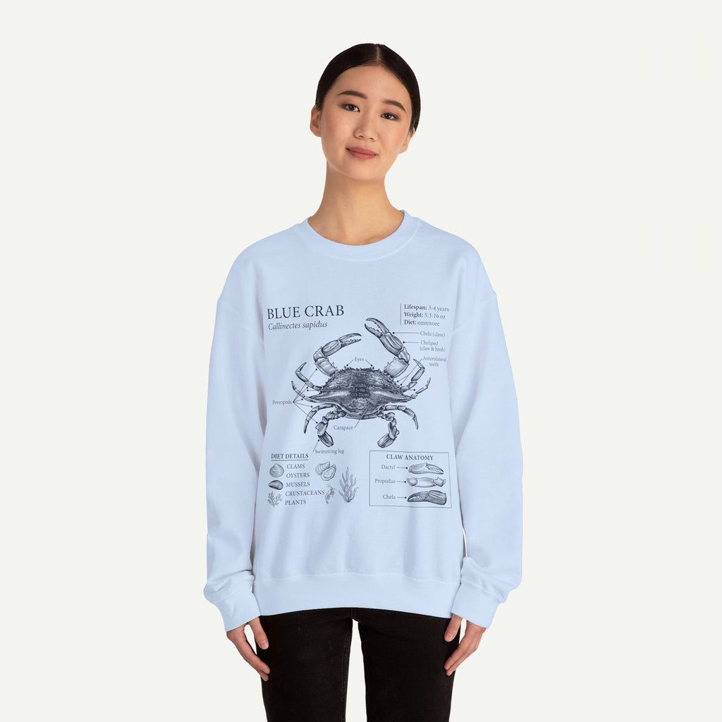Blue Crab Anatomy Crewneck Sweatshirt – Marine Biology Graphic Pullover