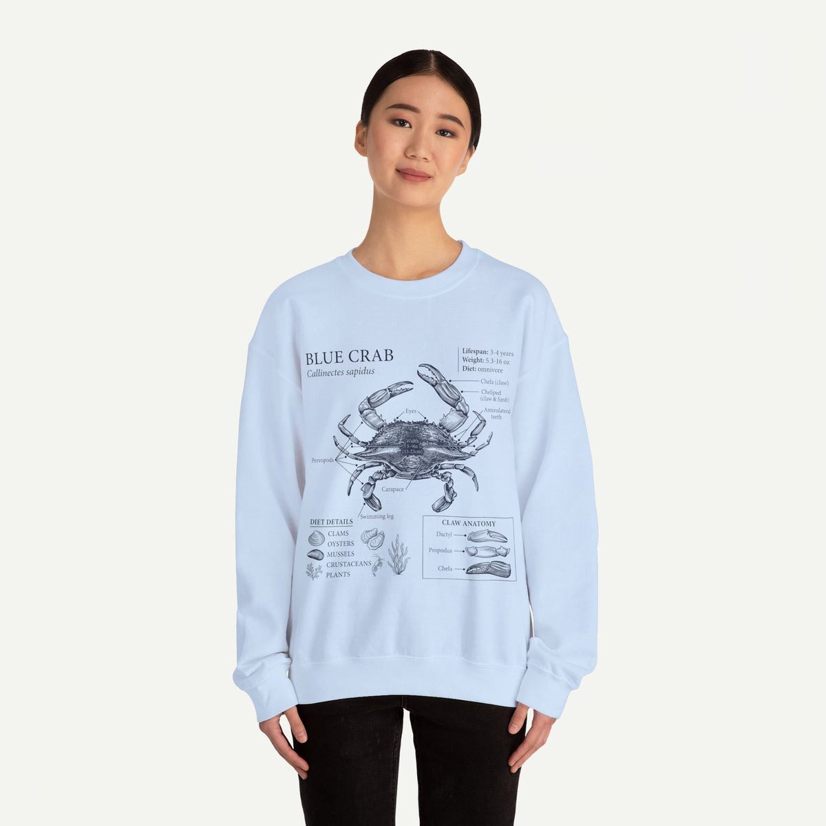 Blue Crab Anatomy Crewneck Sweatshirt – Marine Biology Graphic Pullover
