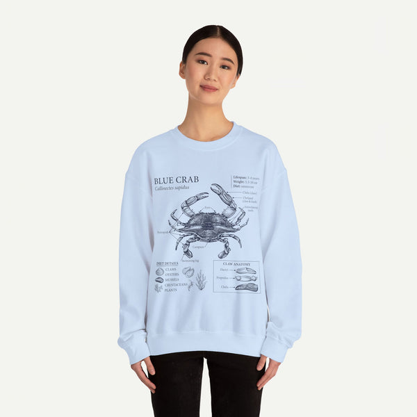 Blue Crab Anatomy Crewneck Sweatshirt – Marine Biology Graphic Pullover