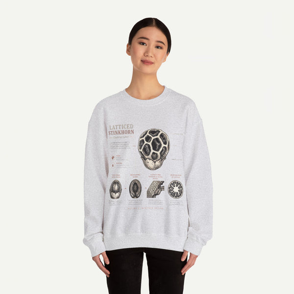 Mushroom Anatomy Sweatshirt – Latticeed Stinkhorn Mycology Crewneck