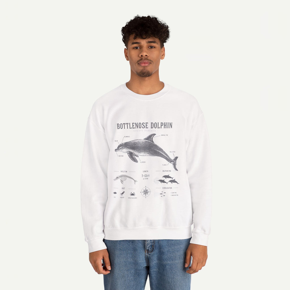 Bottlenose Dolphin Sweatshirt – Marine Life Educational Graphic