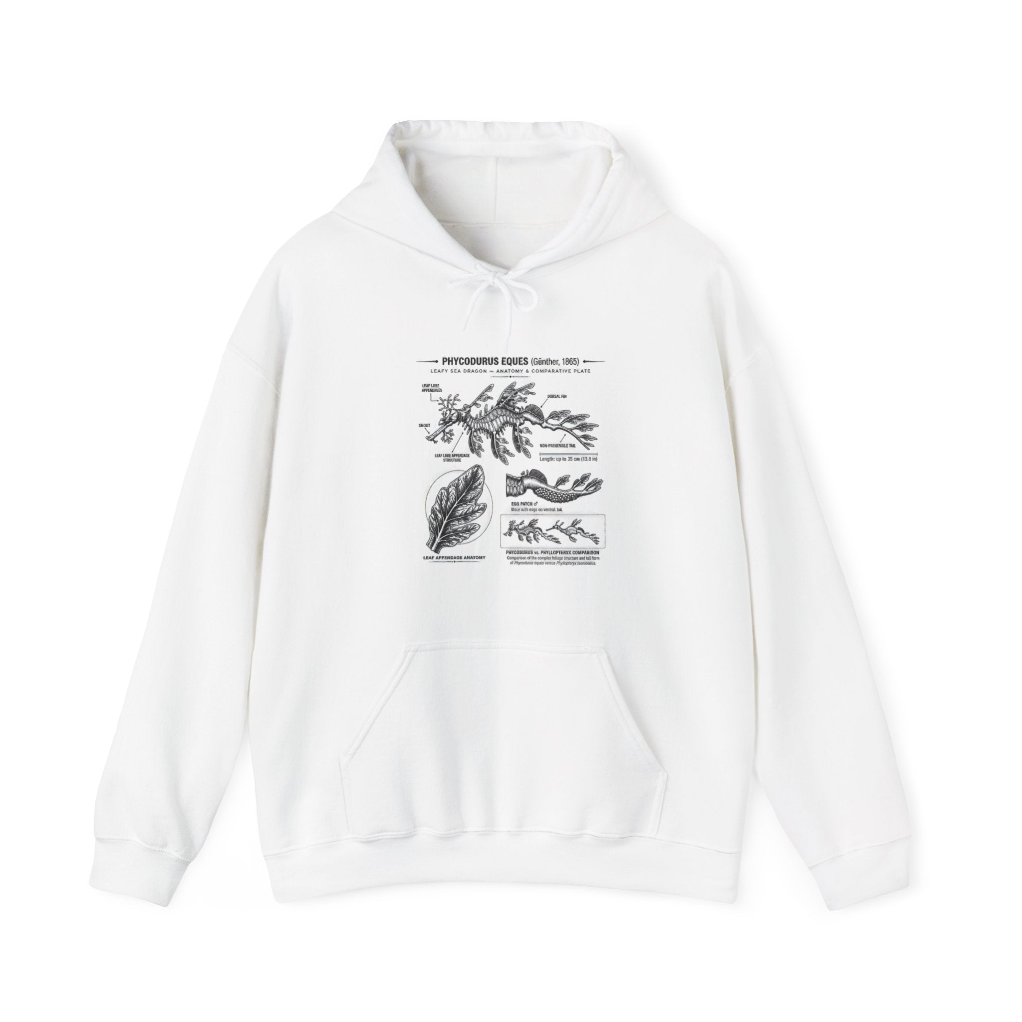 Botanical Anatomy Hoodie — Vintage Plant Diagram Sweatshirt Secondary image