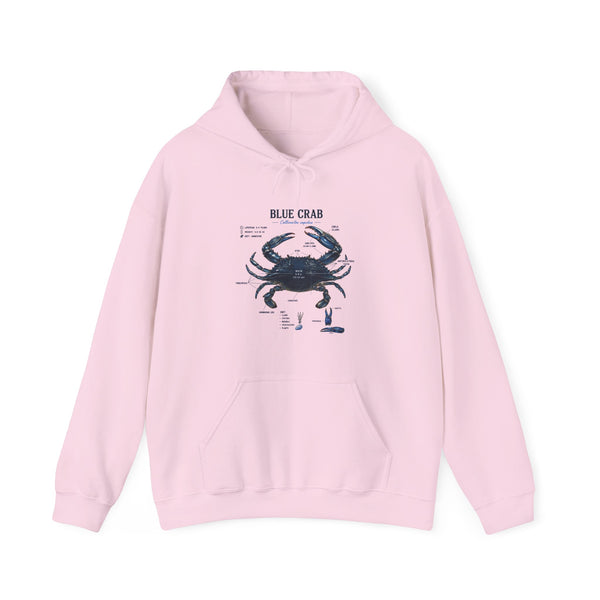 Blue Crab Anatomy Hoodie — Nautical Marine Biology Graphic Sweatshirt