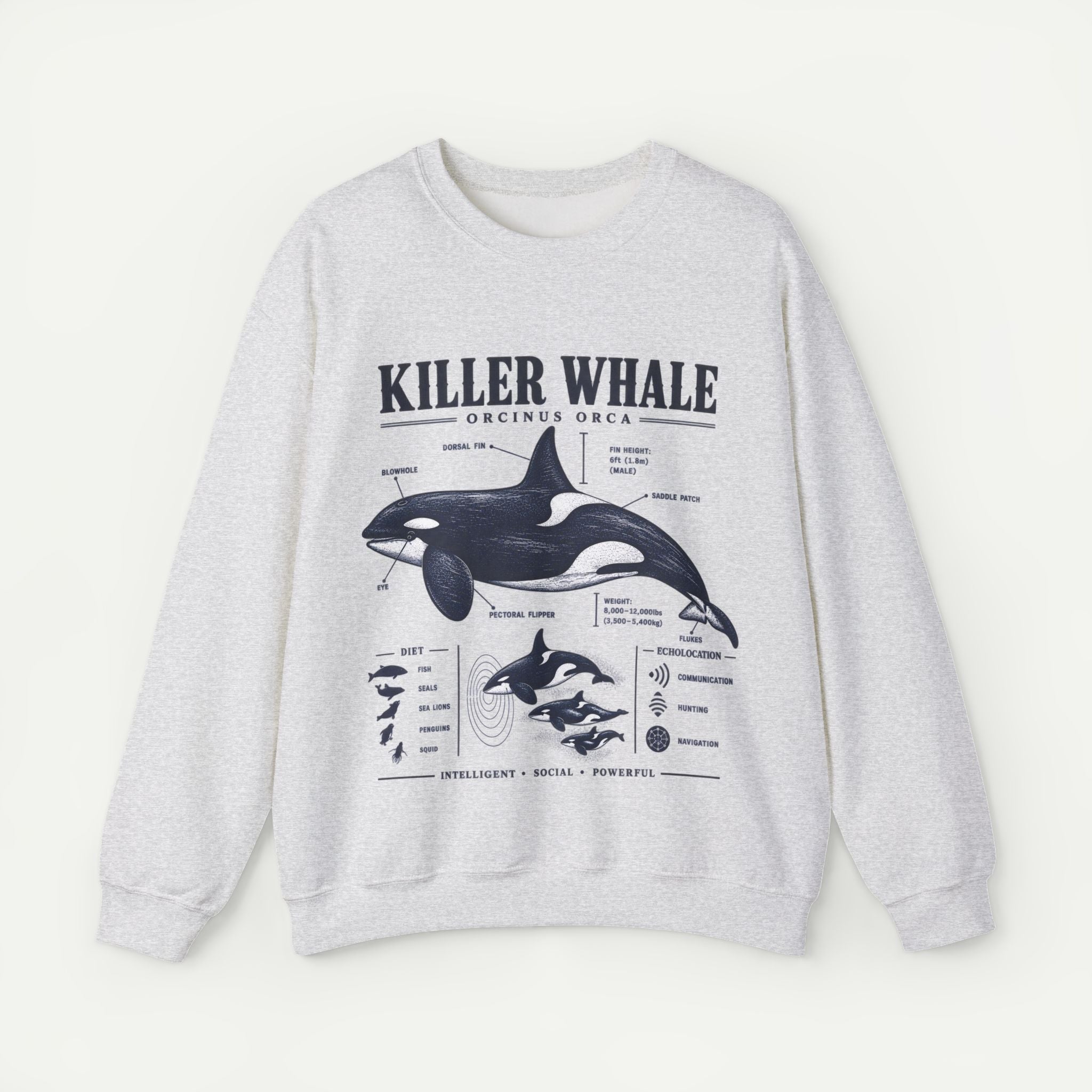 Killer Whale Anatomy Sweatshirt Secondary image