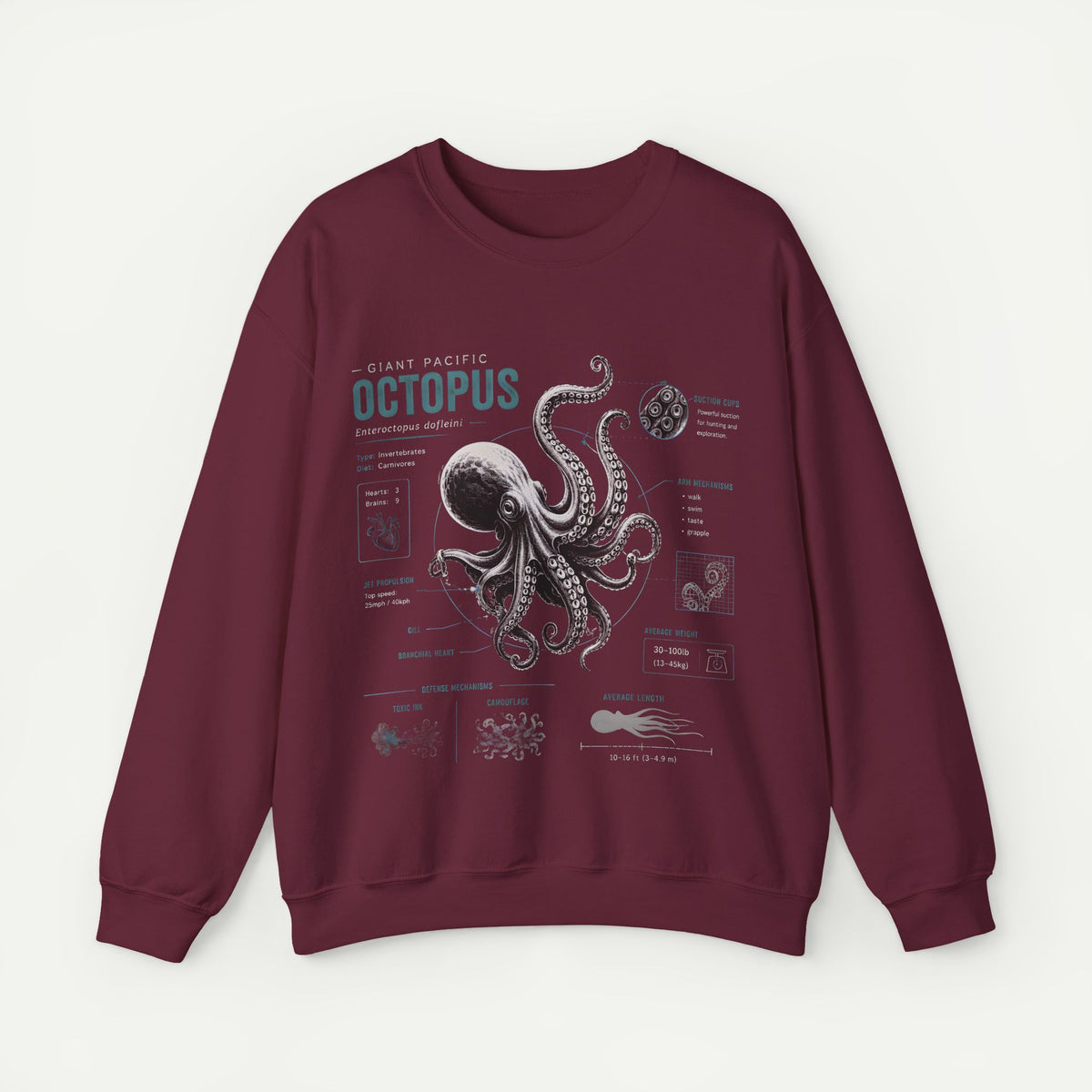 Octopus Anatomy Sweatshirt — Vintage Marine Biology Graphic