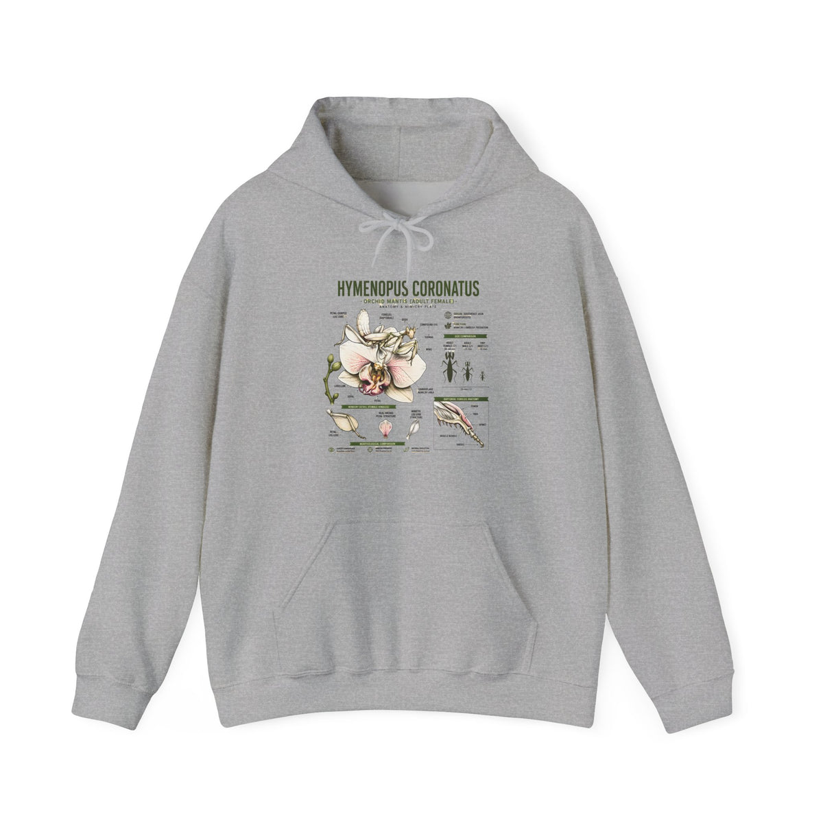 Botanical Hooded Sweatshirt — Hymenopus Coronatus Praying Mantis Illustration