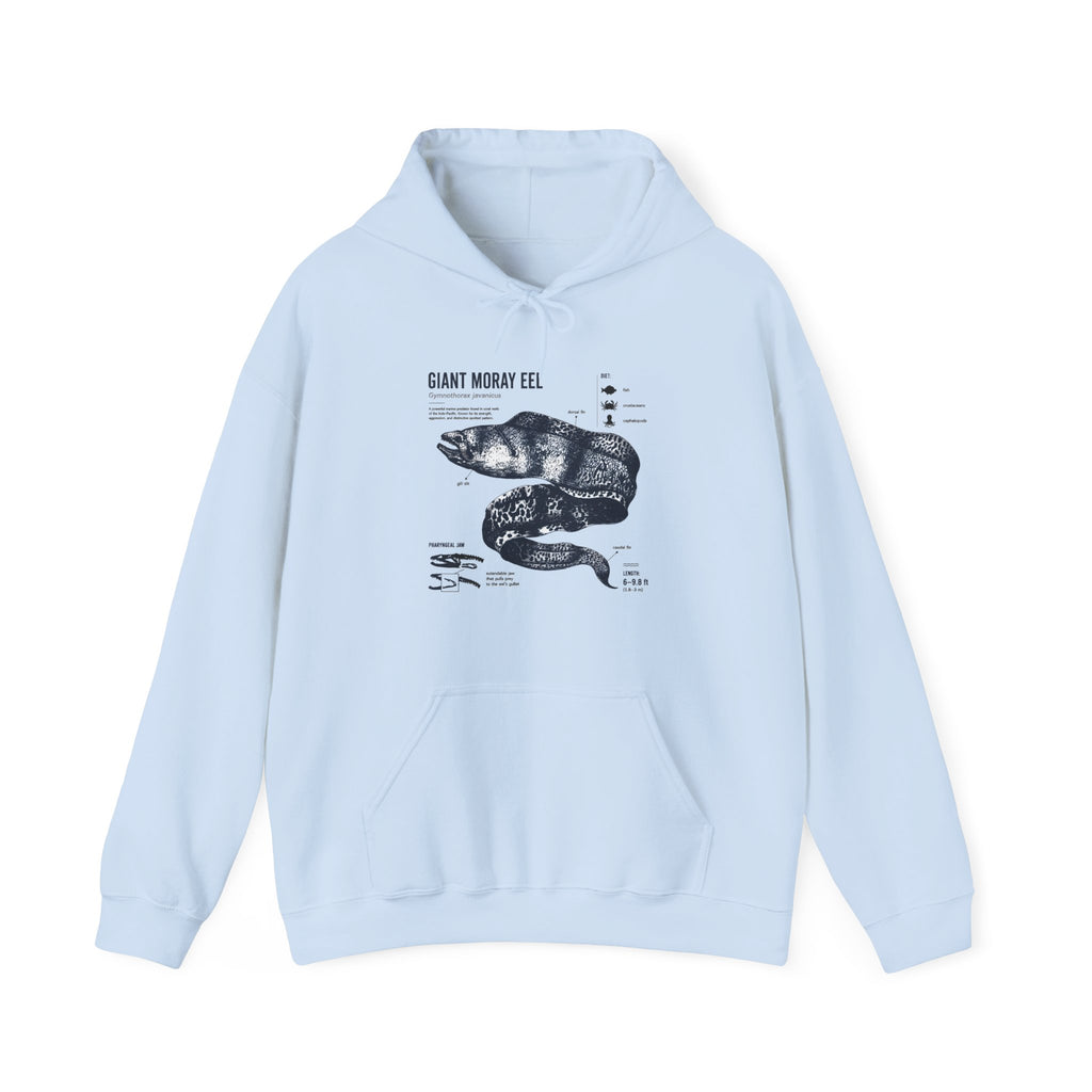 Sea Snake Diagram Hoodie - Vintage Scientific Illustration Sweatshirt