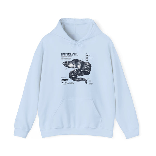 Sea Snake Diagram Hoodie - Vintage Scientific Illustration Sweatshirt