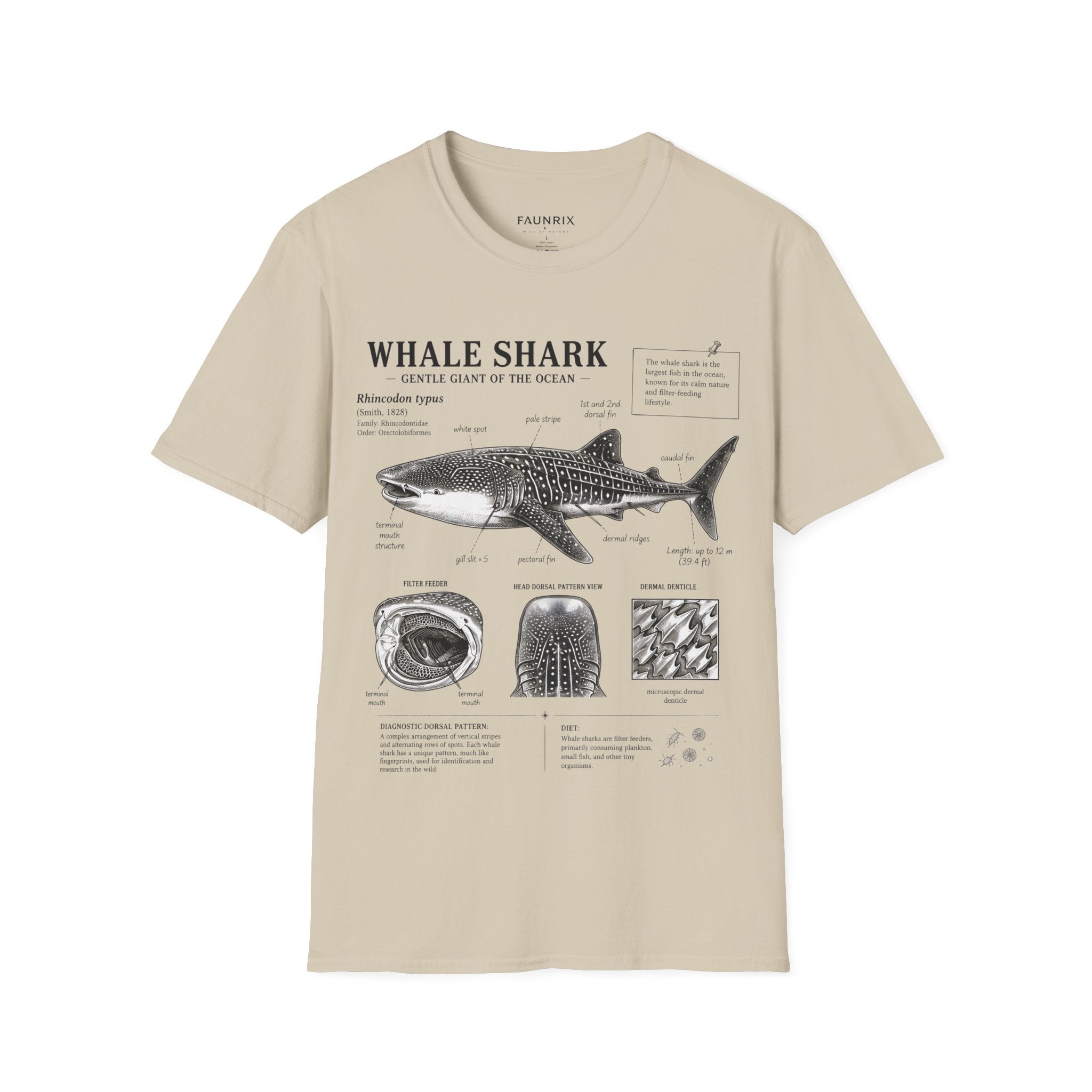 Whale Shark Anatomy T-Shirt — Marine Biology Graphic Tee with Informational Diagram Secondary image