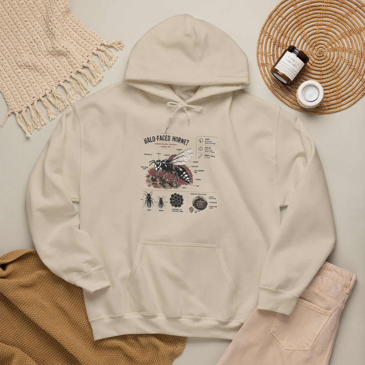 Bee Anatomy Hoodie — Bald-Faced Hornet Illustration & Diagram Sweatshirt