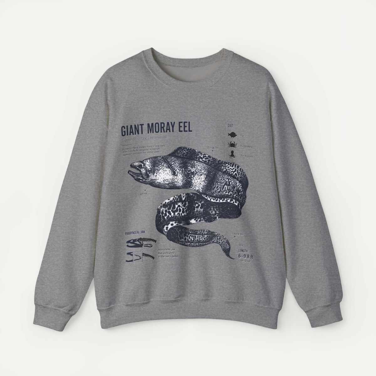 Giant Moray Eel Anatomy Sweatshirt