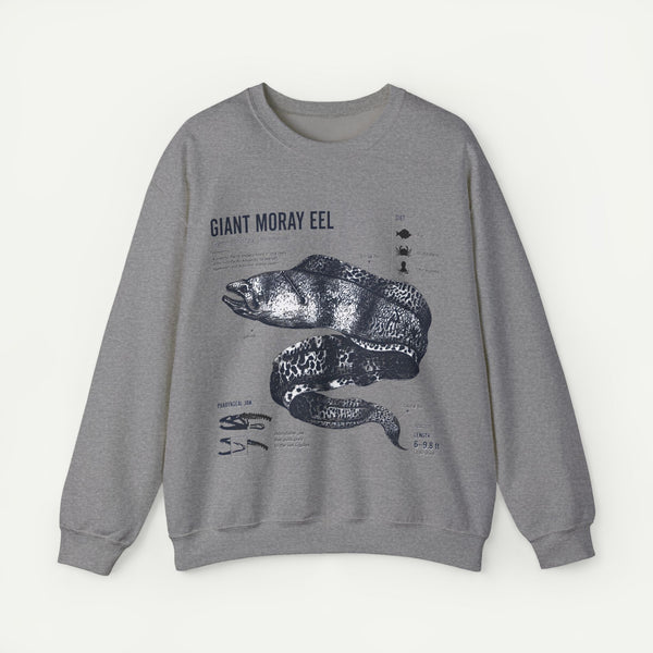 Giant Moray Eel Anatomy Sweatshirt