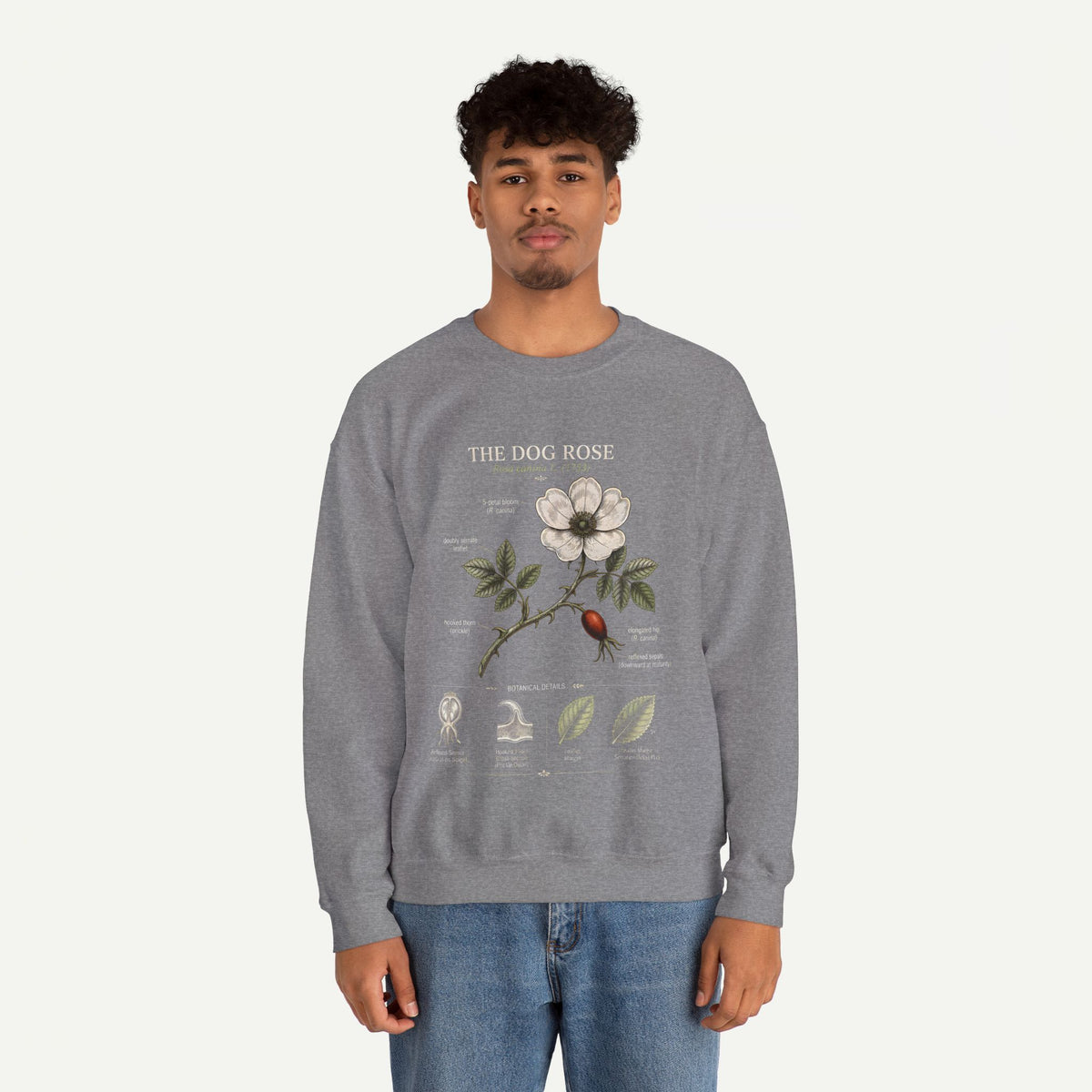 Dog Rose Botanical Sweatshirt — Vintage Floral Anatomy Crewneck