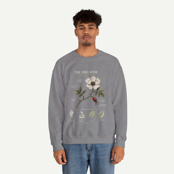 Dog Rose Botanical Sweatshirt — Vintage Floral Anatomy Crewneck