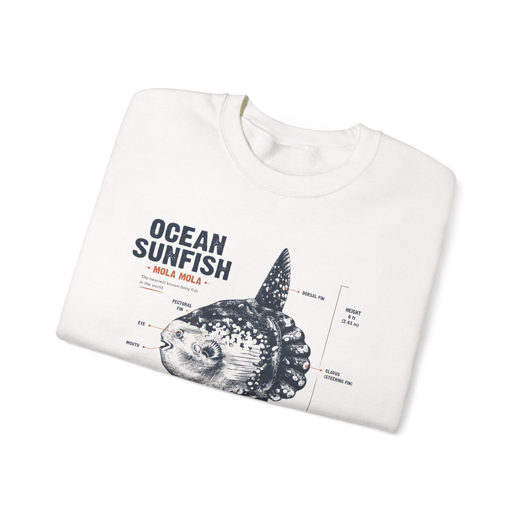 Ocean Sunfish Illustration Sweatshirt — Mola Mola Anatomy Crewneck