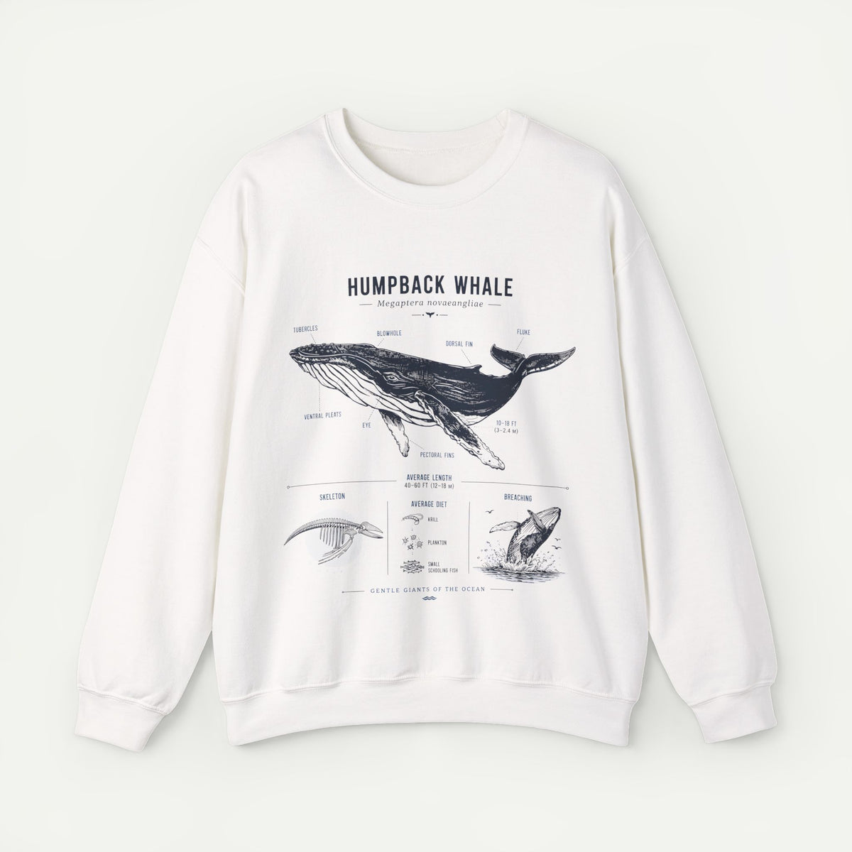 Humpback Whale Anatomy Sweatshirt