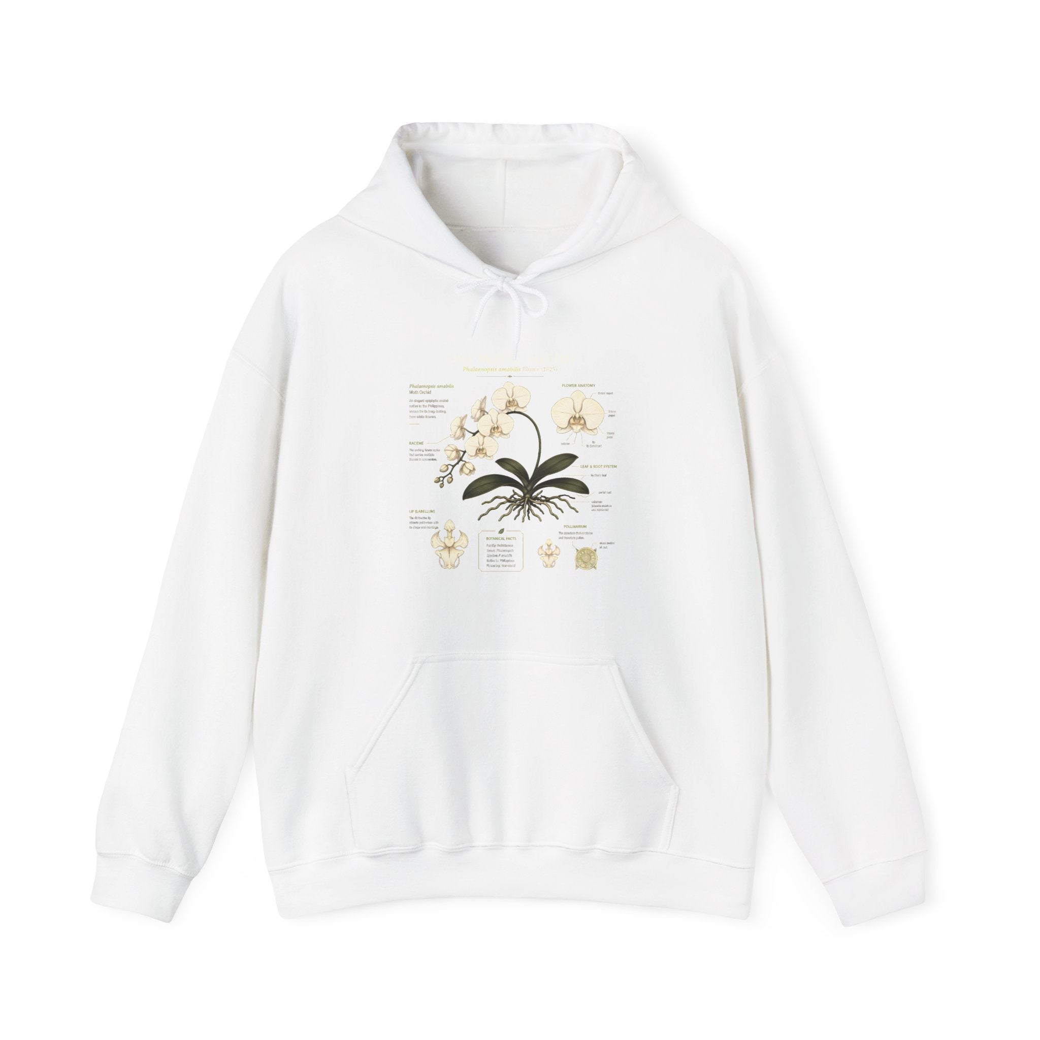 Botanical Orchid Anatomy Hoodie — Vintage Plant Illustration Sweatshirt Secondary image