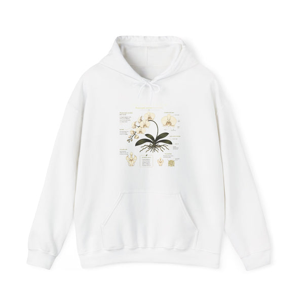 Botanical Orchid Anatomy Hoodie — Vintage Plant Illustration Sweatshirt