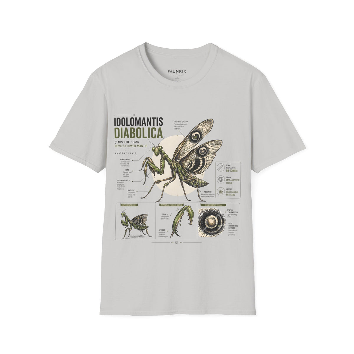 Praying Mantis Botanical Anatomy T-Shirt — Mantis Taxonomy Graphic Tee