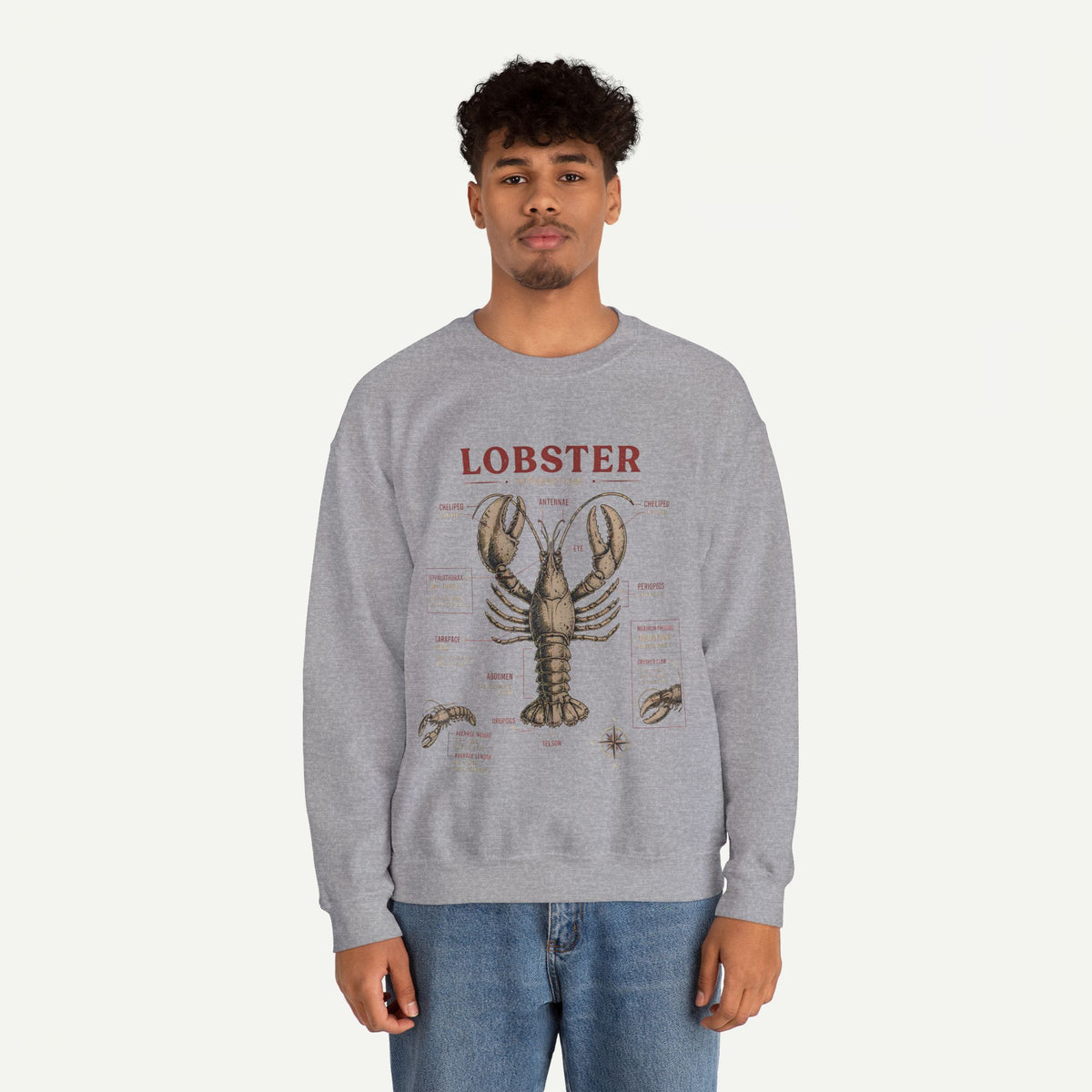 Lobster Anatomy Crewneck Sweatshirt