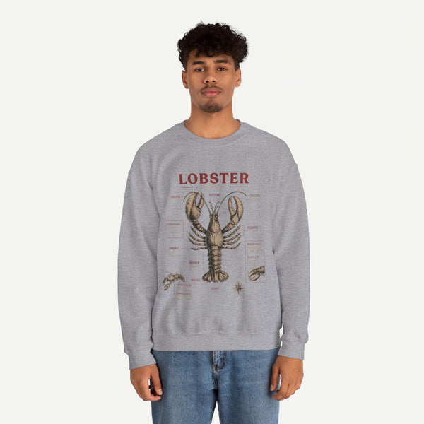 Lobster Anatomy Crewneck Sweatshirt