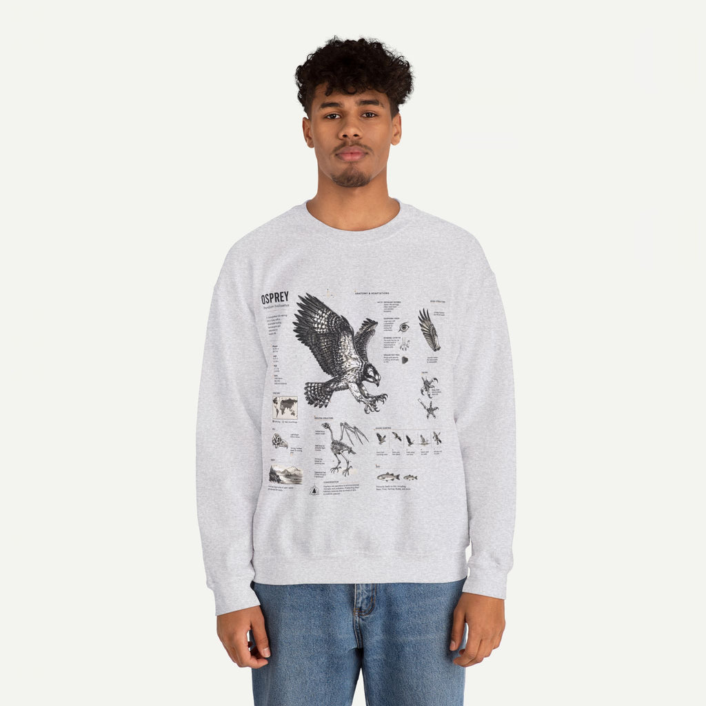 Osprey Anatomy Sweatshirt — Illustrated Bird Guide Pullover