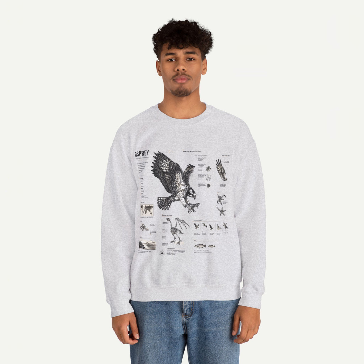 Osprey Anatomy Sweatshirt — Illustrated Bird Guide Pullover