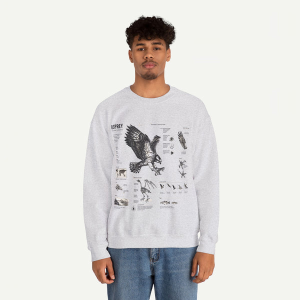 Osprey Anatomy Sweatshirt — Illustrated Bird Guide Pullover