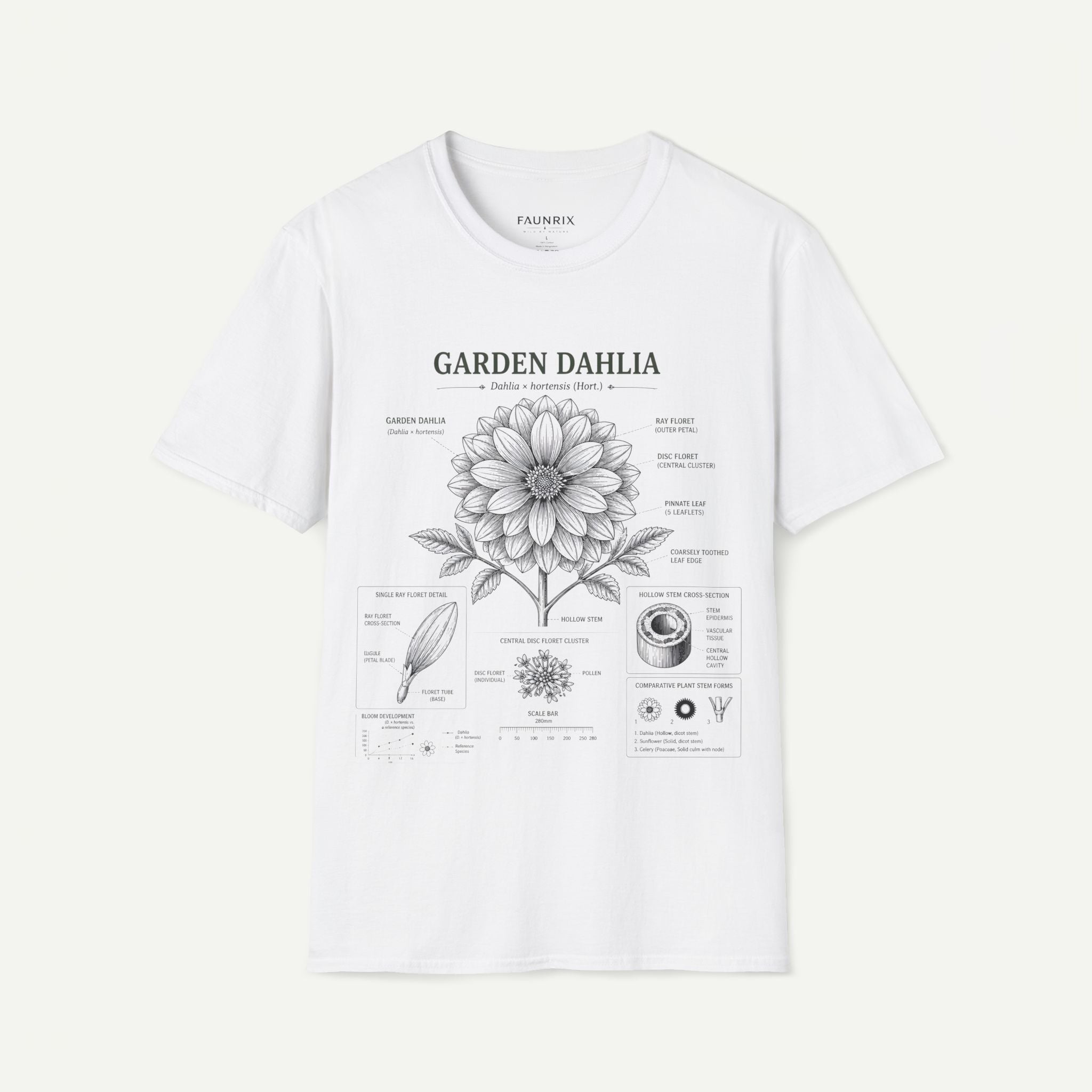 Dahlia Botanical Tee — 'Garden Dahlia' Floral Anatomy T-Shirt Secondary image