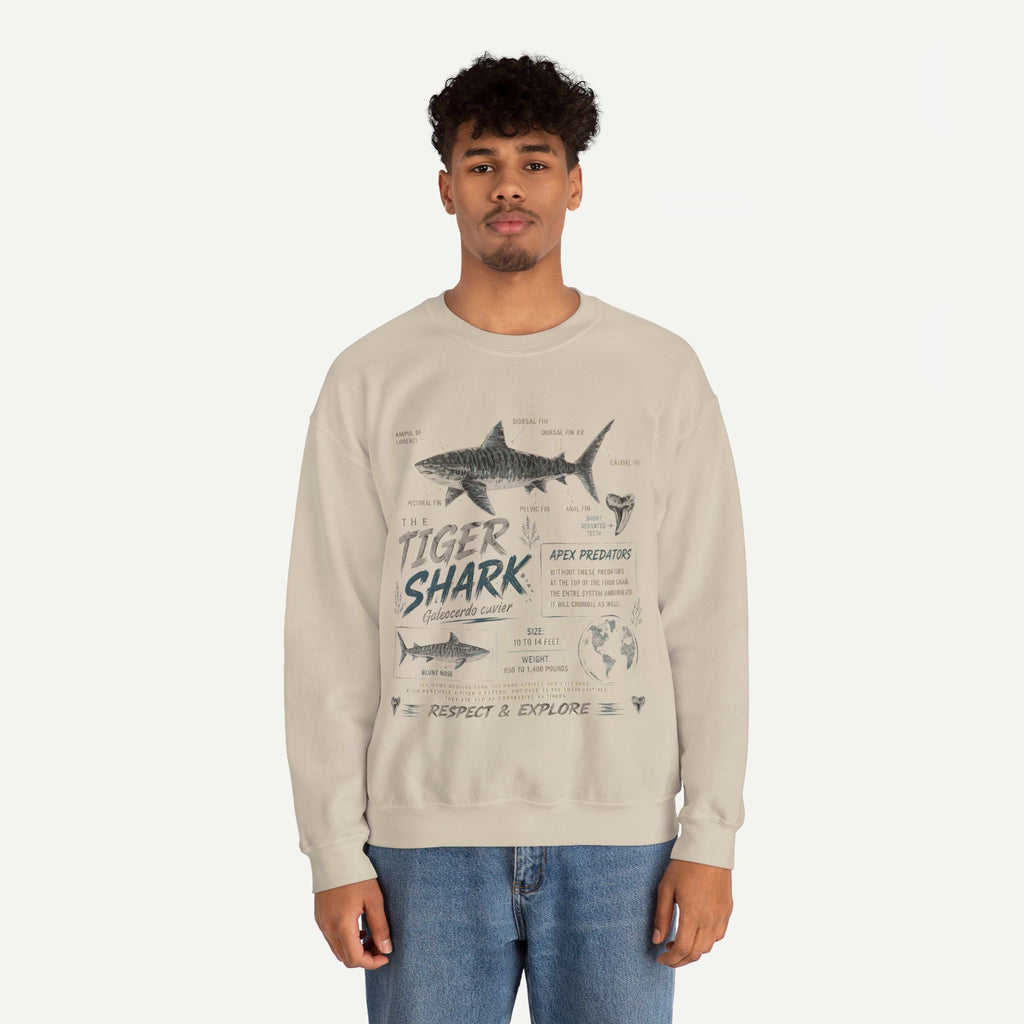 Tiger Shark Anatomy Sweatshirt — Marine Biology Graphic Crewneck