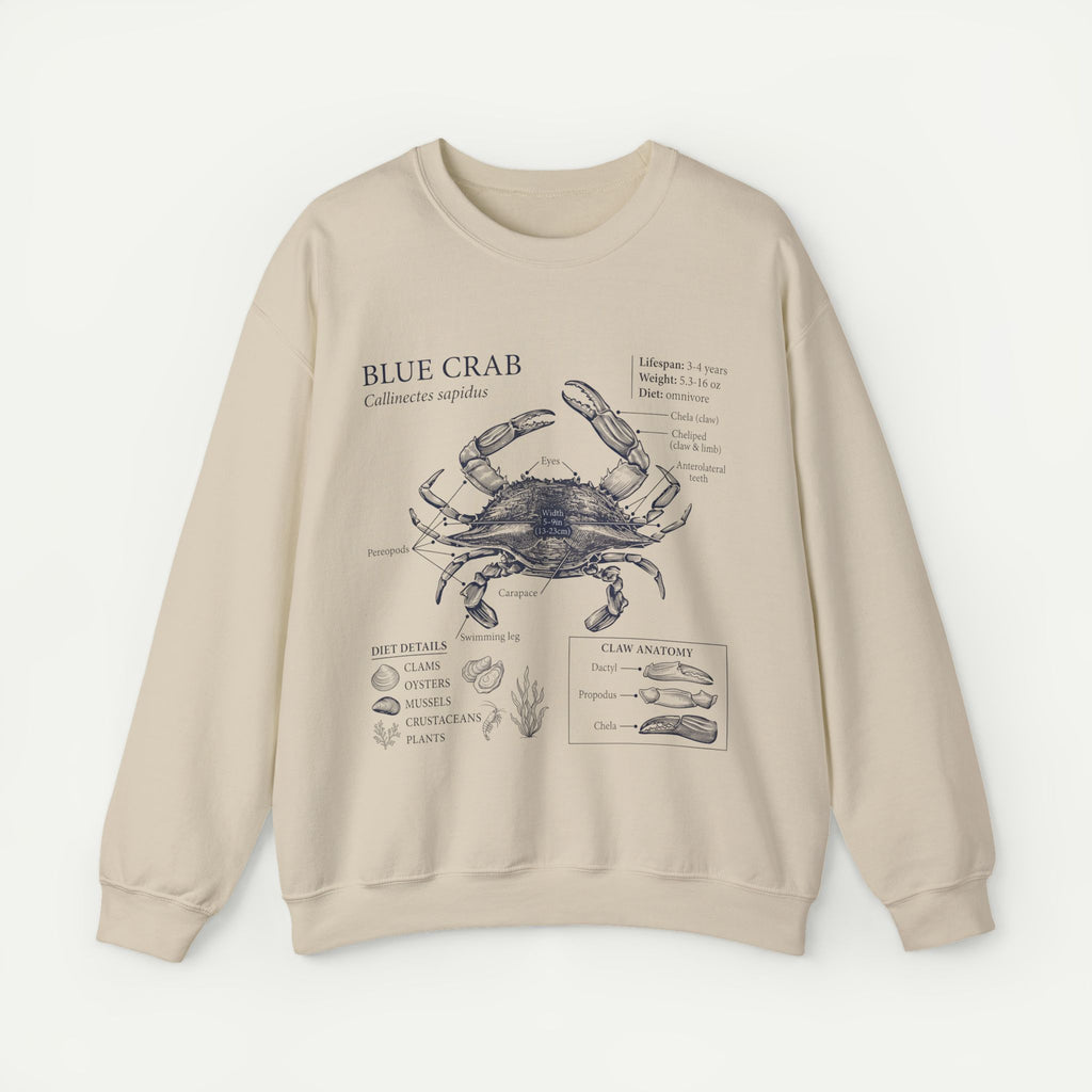 Blue Crab Anatomy Crewneck Sweatshirt – Marine Biology Graphic Pullover