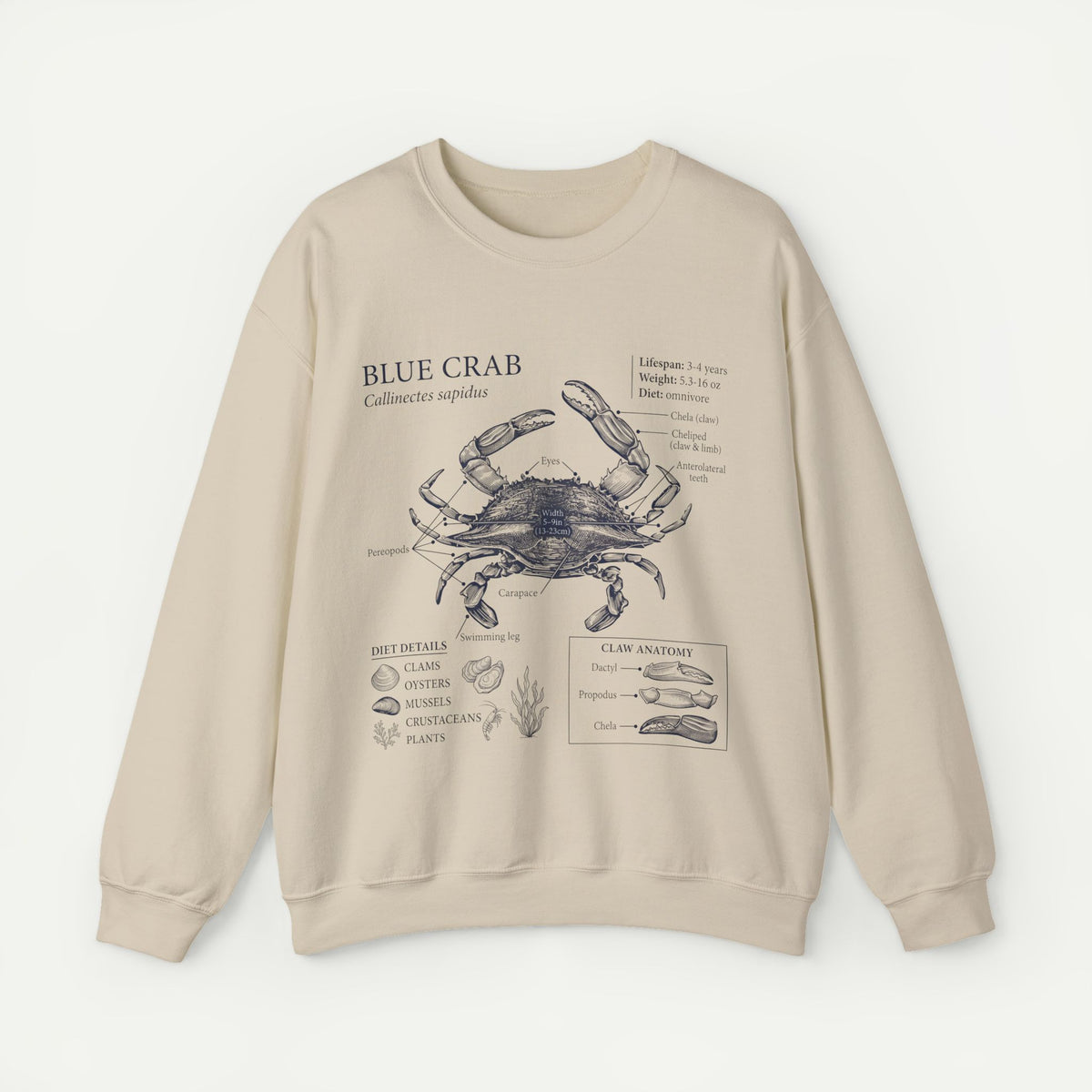 Blue Crab Anatomy Crewneck Sweatshirt – Marine Biology Graphic Pullover