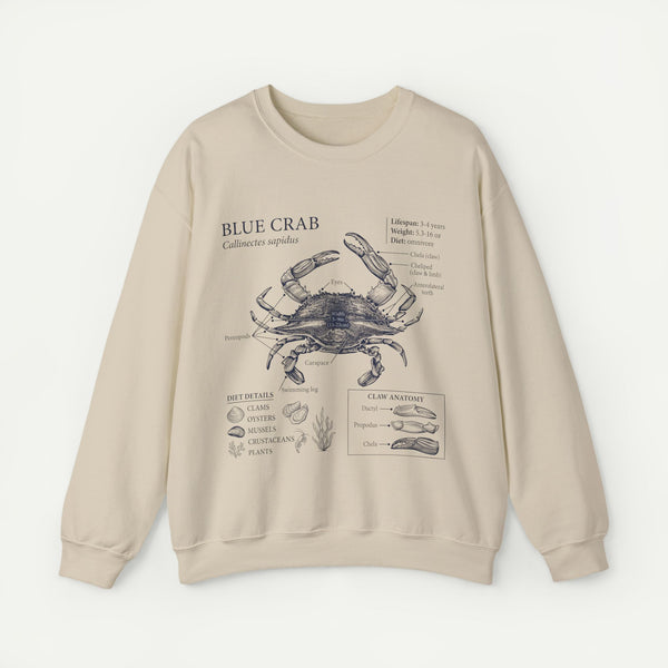 Blue Crab Anatomy Crewneck Sweatshirt – Marine Biology Graphic Pullover