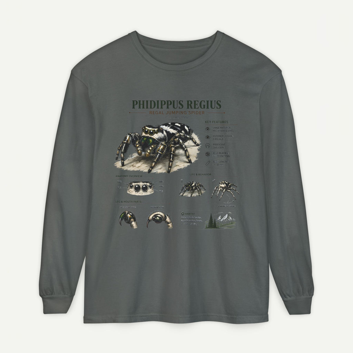Phidippus Regius Jumping Spider Illustration Long Sleeve Tee