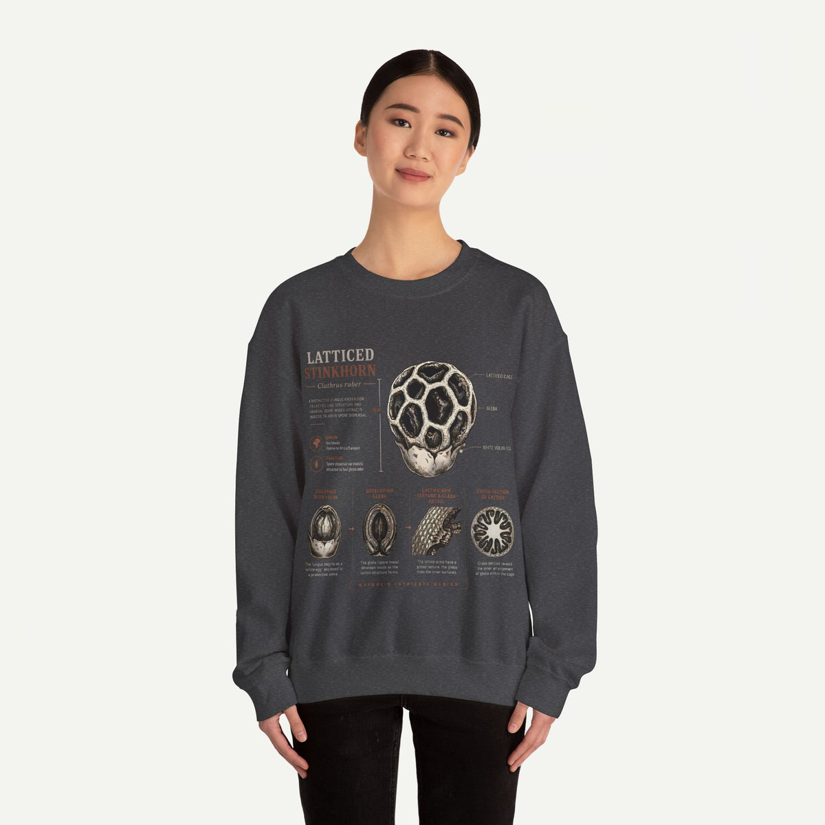Mushroom Anatomy Sweatshirt – Latticeed Stinkhorn Mycology Crewneck